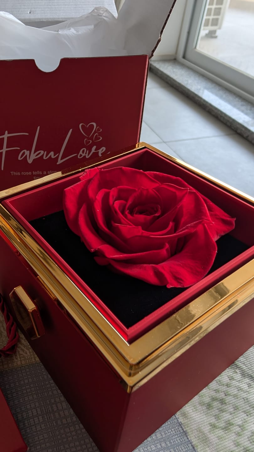 Customer photo review of Shipping Protection