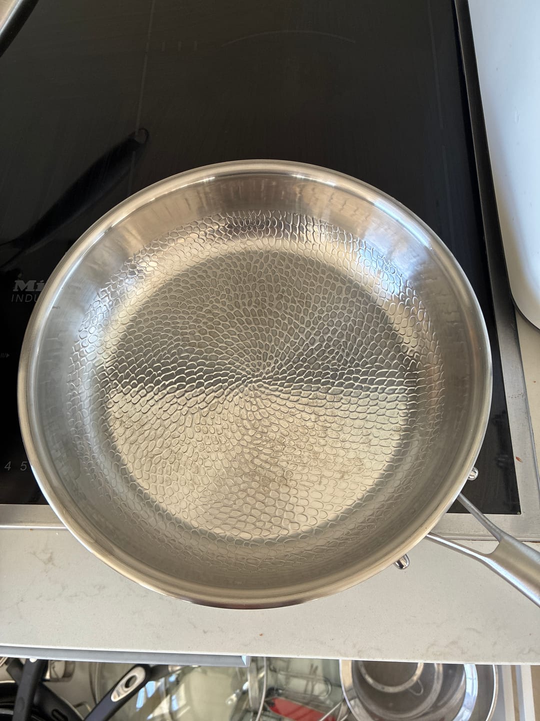Customer photo review of Hand-Hammered Titanium Pan