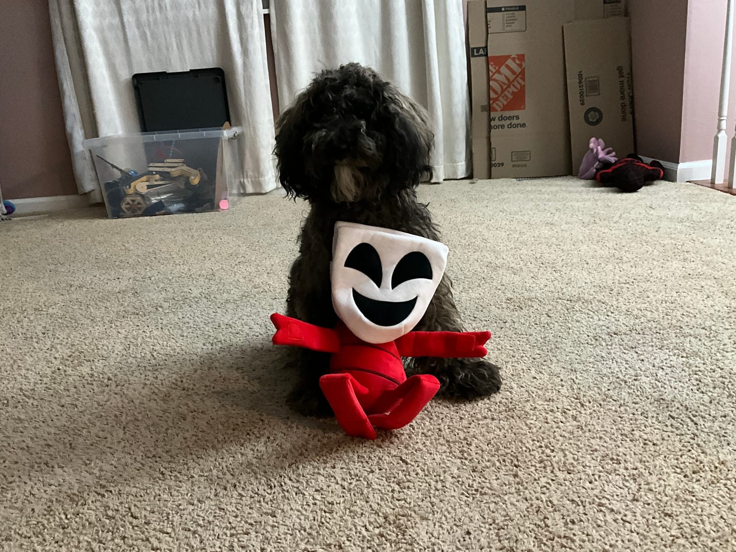 Customer photo review of Gangle Plush