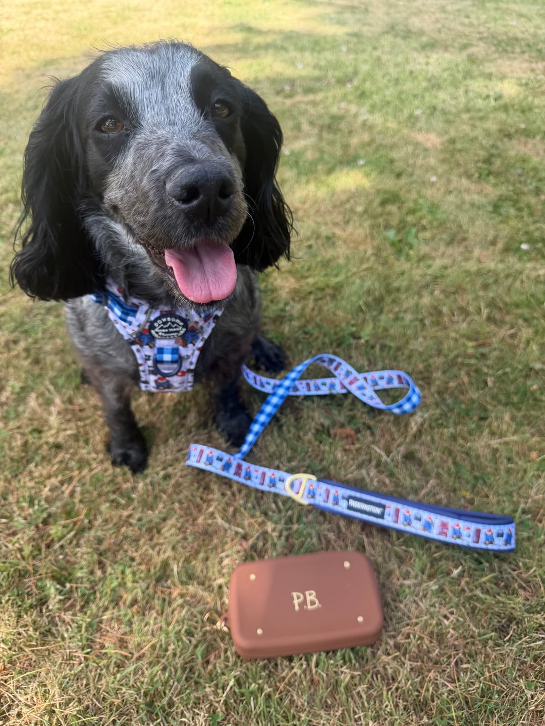Customer photo review of Paddington™ AdjustFit Lead - London