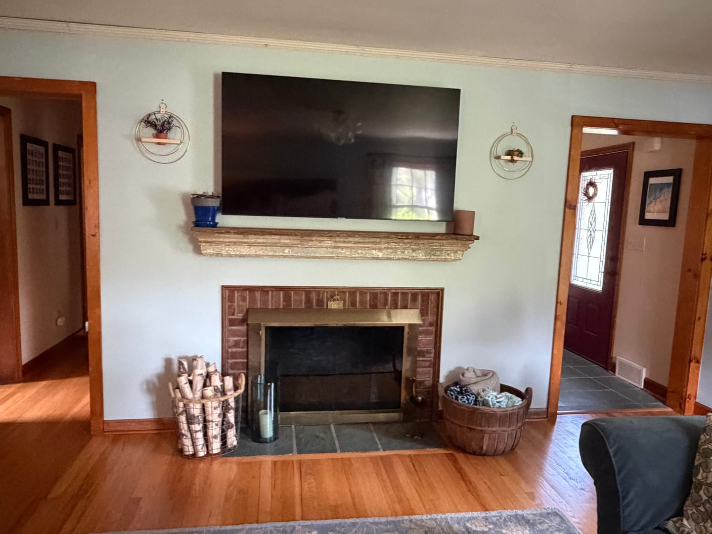 Customer photo review of Air Plant V-Hanger