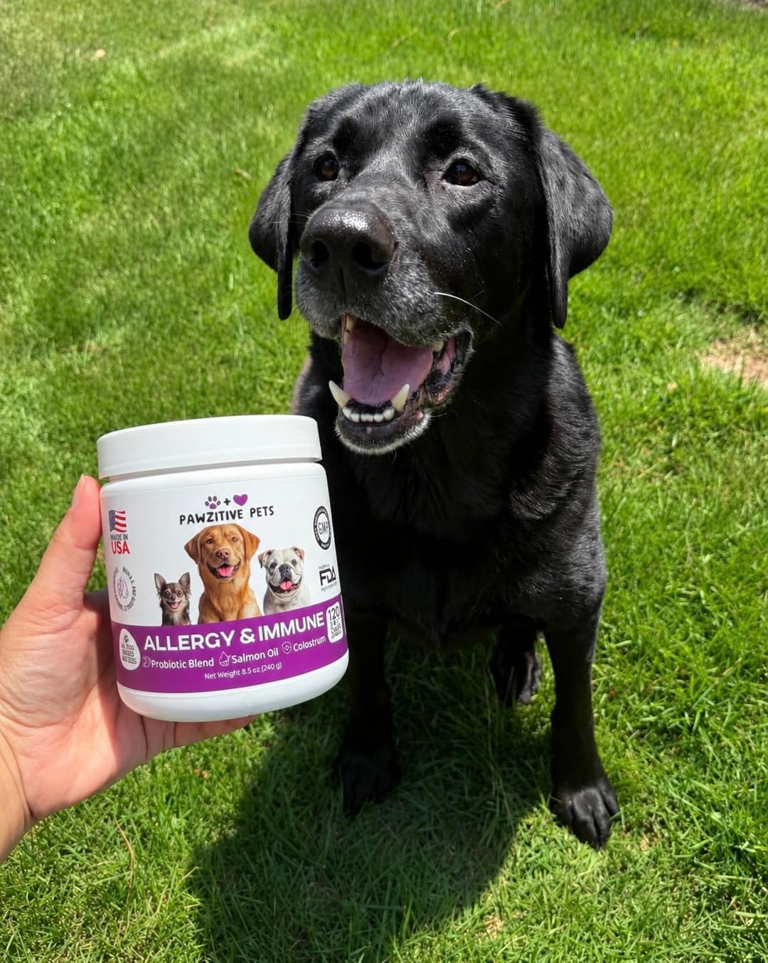 Customer photo review of Dog Allergy Chews for Itchy Skin, Paw Licking & Seasonal Allergies – Immune Support, 120 Soft Chews (Beef Flavor)