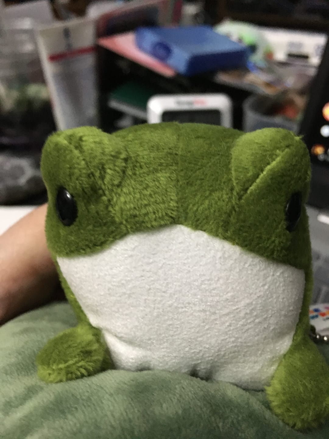 Customer photo review of Forgotten Henry The Frog