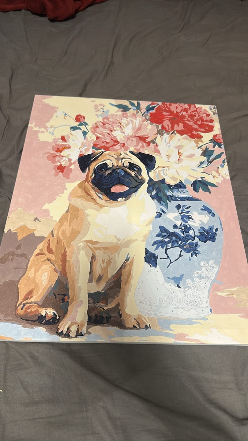 Customer photo review of Malen nach Zahlen - Blumenmops