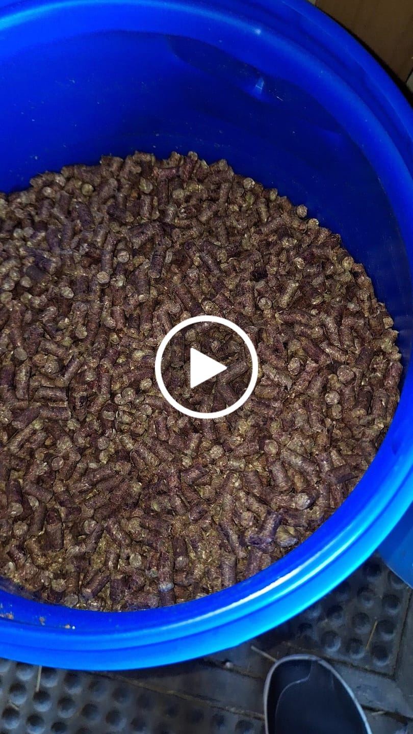 Customer video review of Agrobs Wölbchen Bussi 25 kg