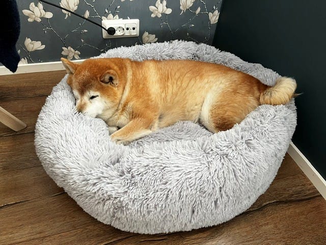 Customer photo review of CalmBed – Ehkäisee stressiä ja lievittää ahdistusta