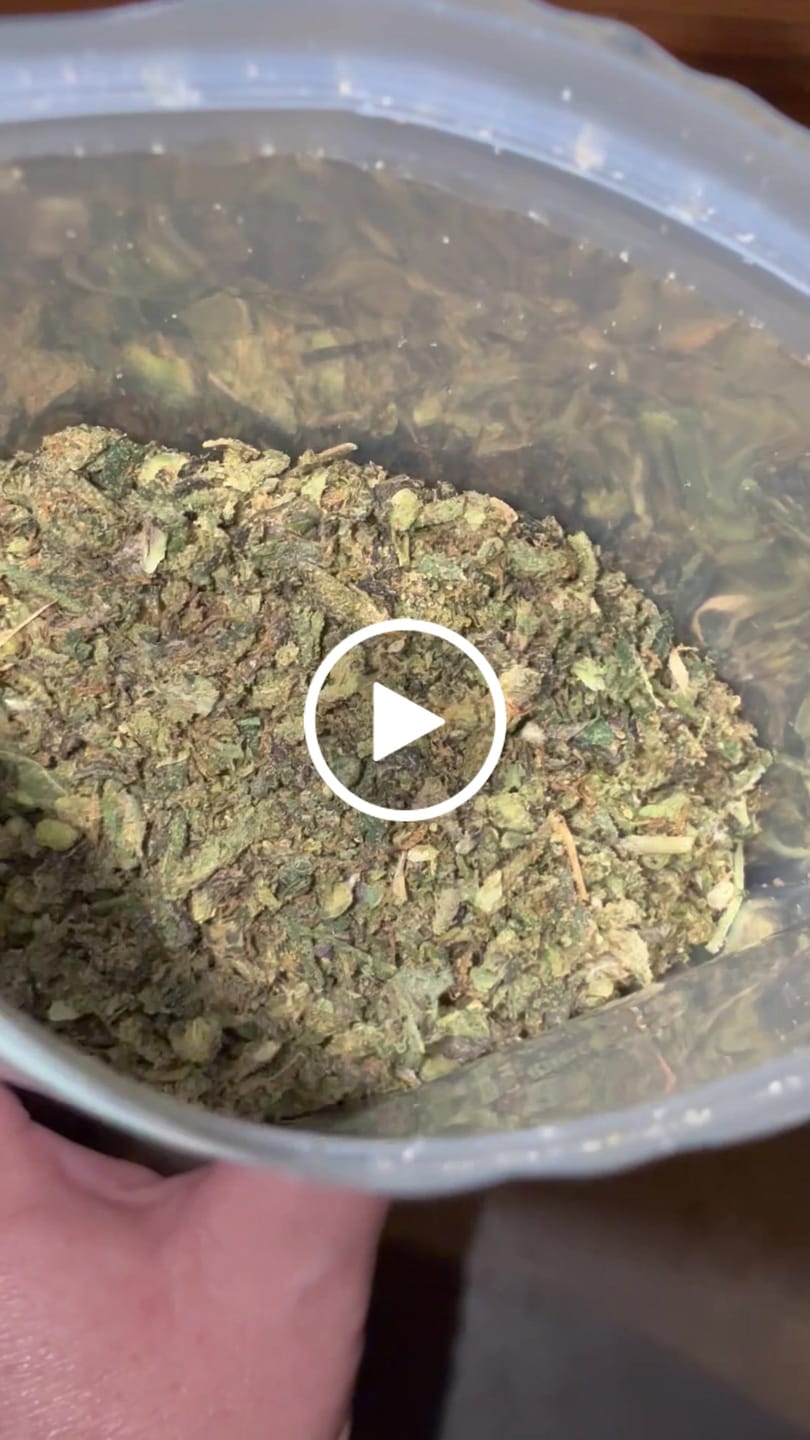 Customer video review of (Buy 1 Get 2 Free) No5. Sherbet THCa Shake