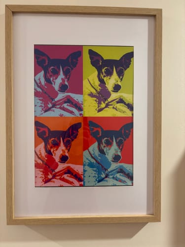 Customer photo review of Personalised Poster With Dog or Cat - Colour Squares