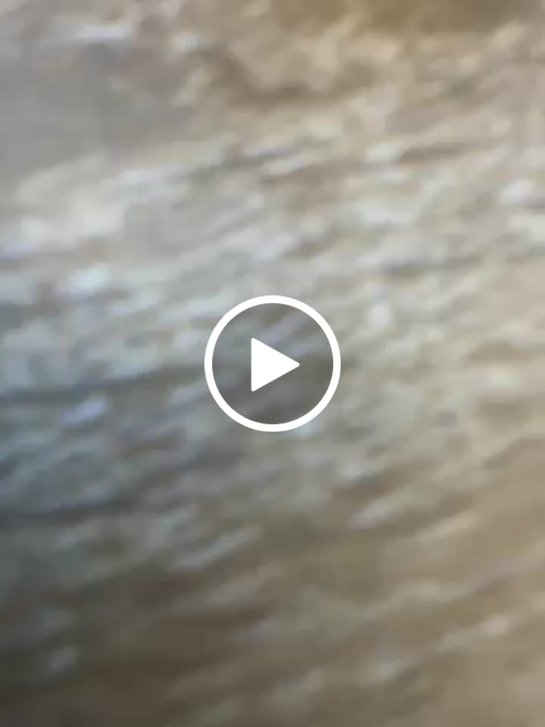 Customer video review of Forest Spice