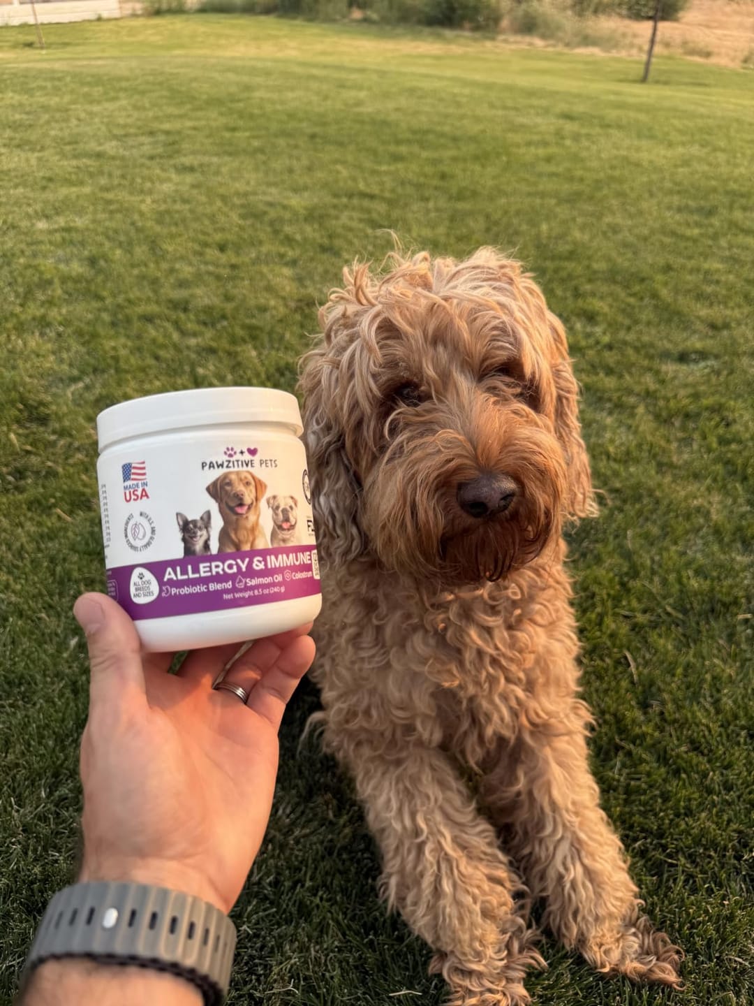 Customer photo review of Dog Allergy Chews for Itchy Skin, Paw Licking & Seasonal Allergies – Immune Support, 120 Soft Chews (Beef Flavor)