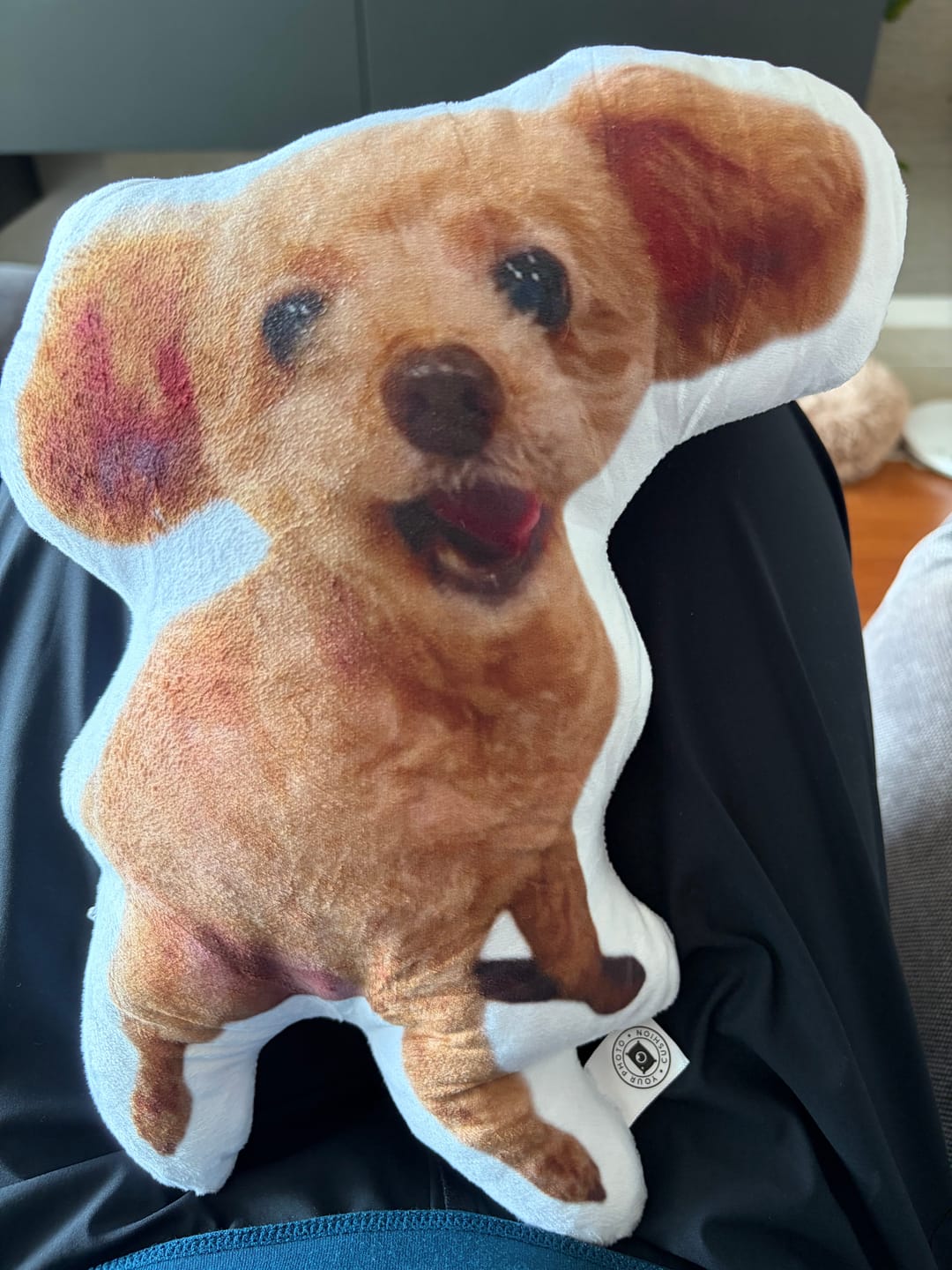 Customer photo review of 世界にひとつだけ♪好きな写真で作るオーダーメイドクッション（20～80cm）