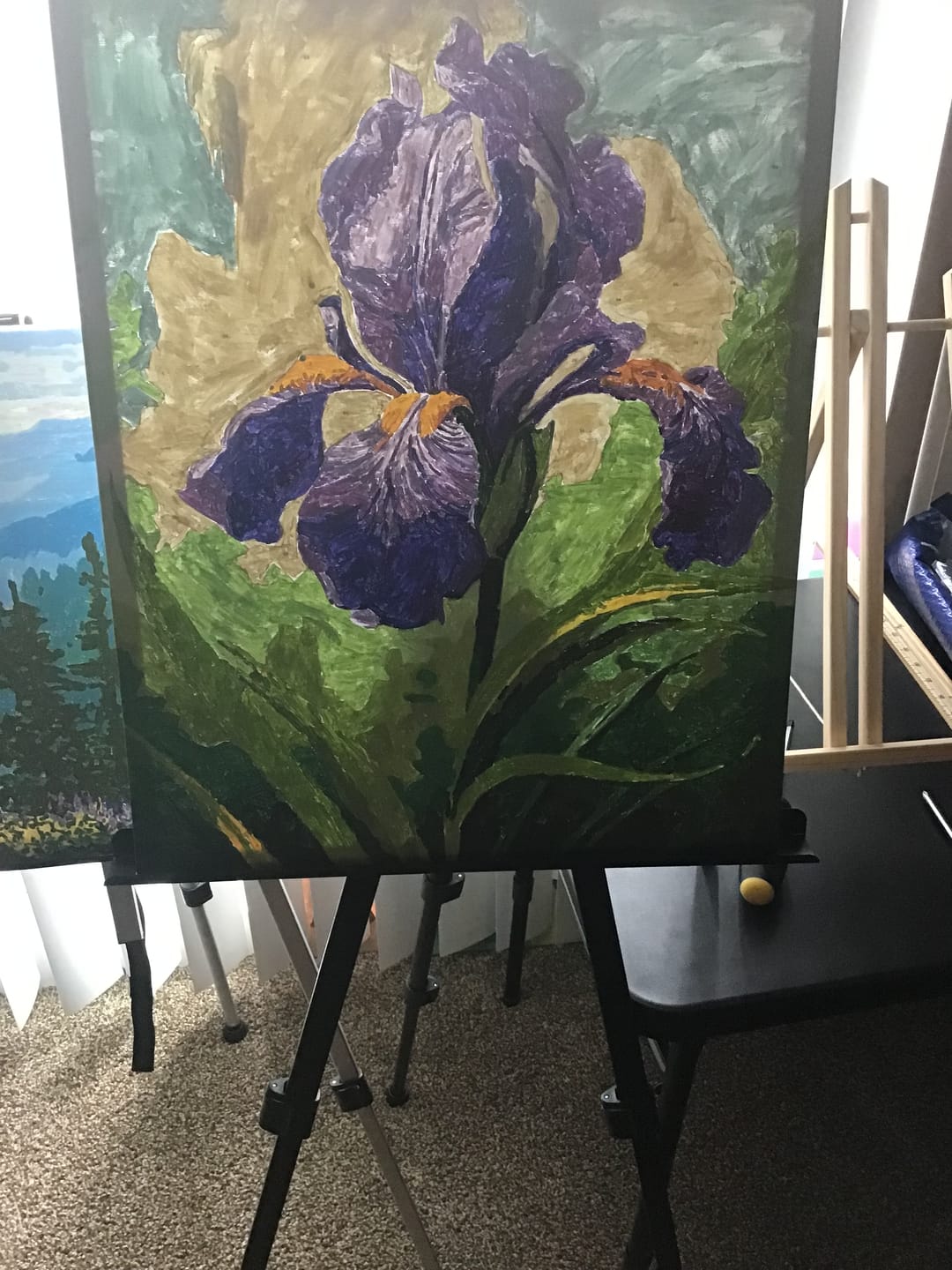 Customer photo review of Tulip Family