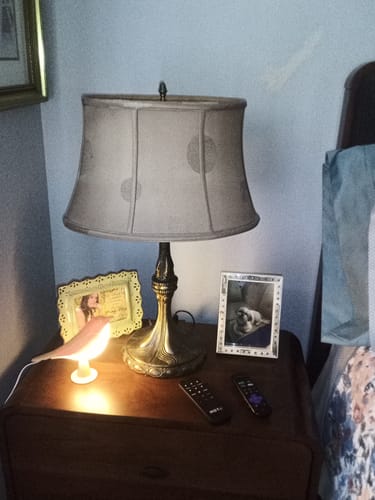 Reviewer's glowing pink Glow Bird lamp on a bedroom nightstand, next to a larger lamp and framed photos.