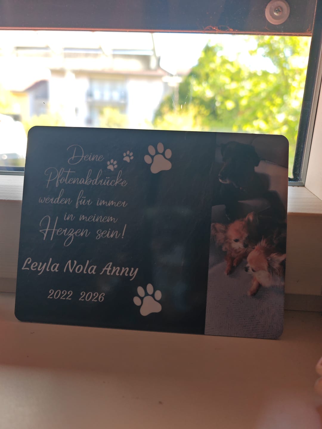 Customer photo review of Hunde Gedenktafel mit Foto & Spruch (UV- & Wetterfest)