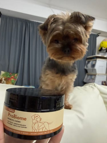 Customer's ProBiome狗狗益生菌軟粒瓶裝，背景有一隻小狗看著鏡頭