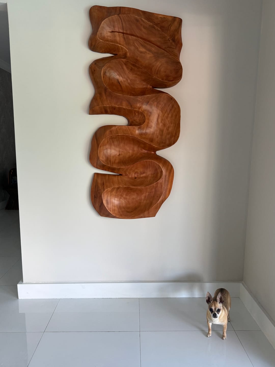 Customer photo review of Modern Organic Wall Art Panel Decor For Living Room