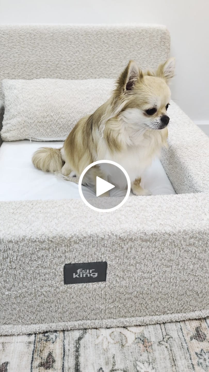 Customer video review of Fur King Throne - Orthopedic Dog Bed