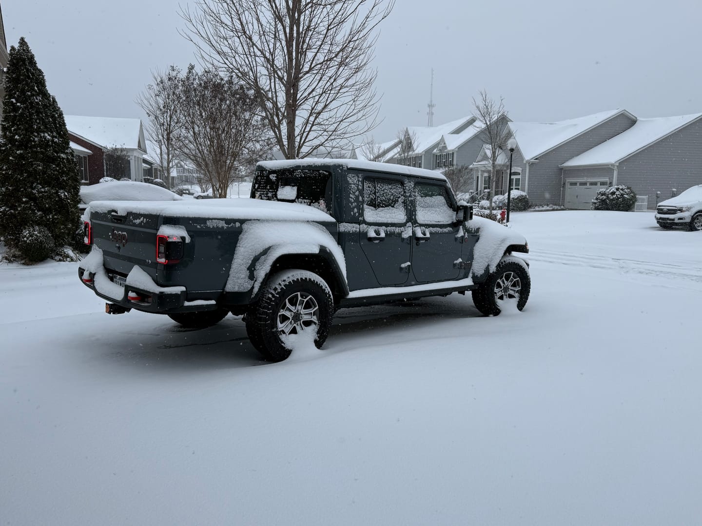 Customer photo review of The Tire Tamer - tire brush