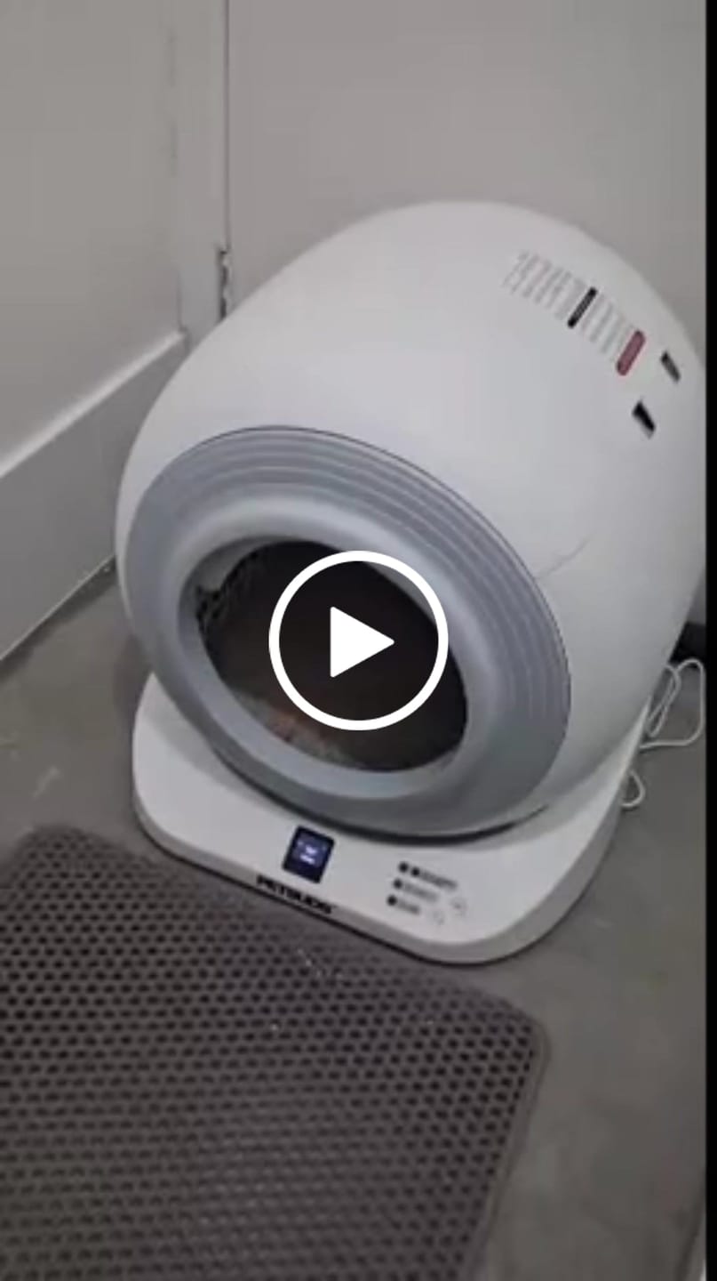 Customer video review of The Petbuds Q-CLEAN Automatic Self-Cleaning Litter Box