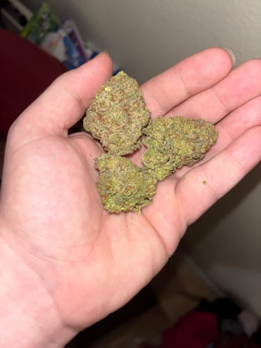 Truffle - Bulk - Indica photo review