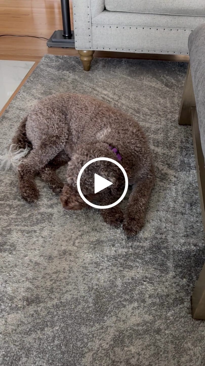 Customer video review of 6 Inch Beef Jerky Stick