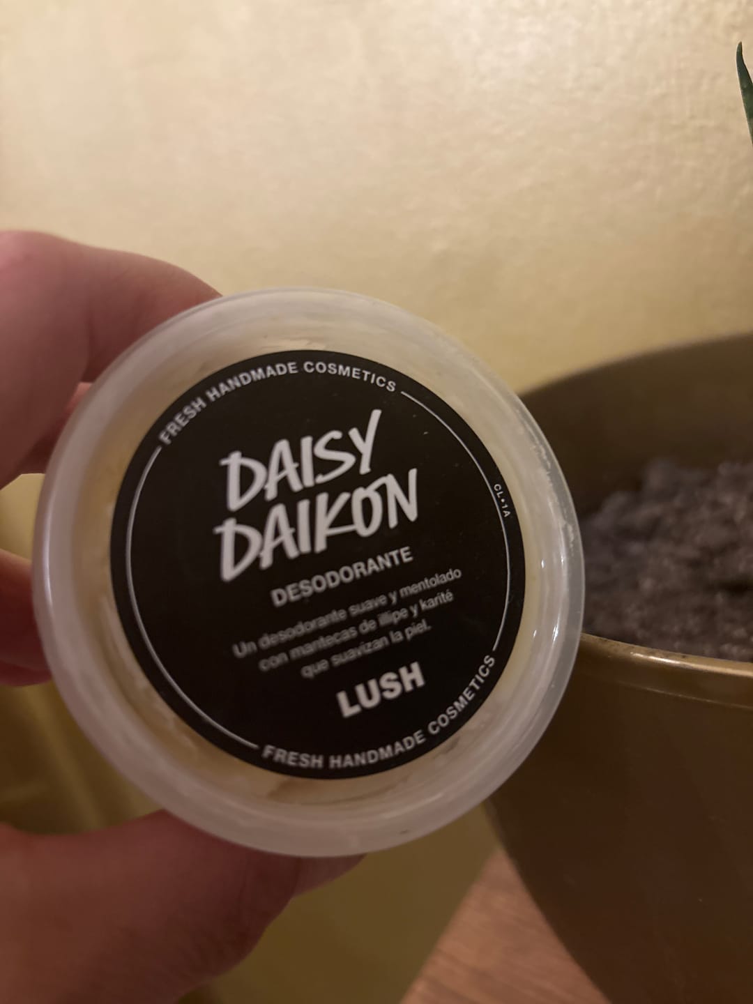 Customer photo review of Daisy Daikon