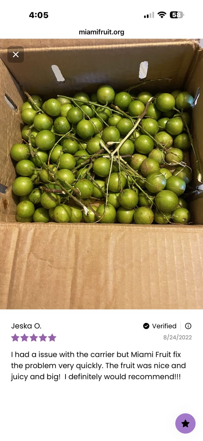 Customer photo review of Mamoncillo (Guinep)