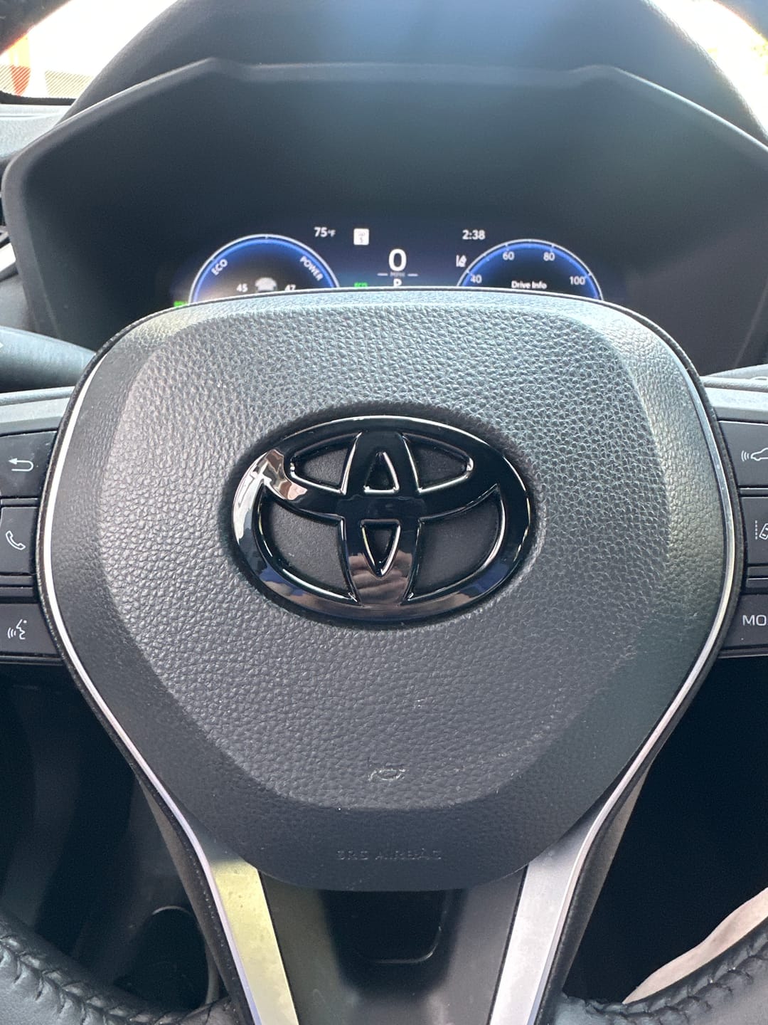 Customer photo review of Steering Wheel Emblem Overlay