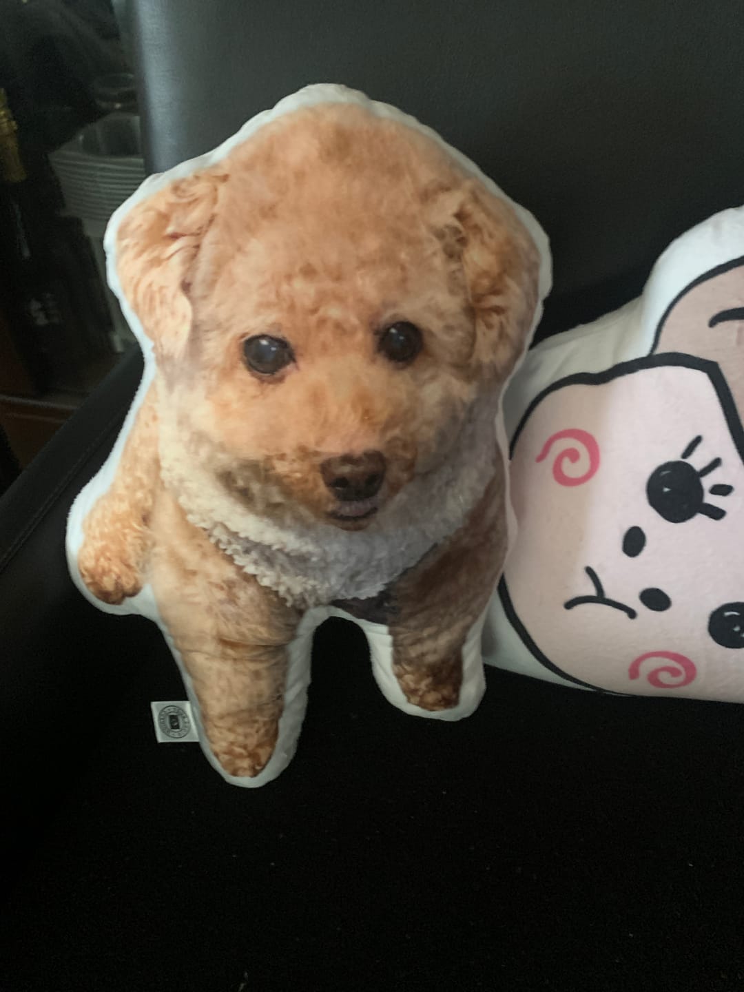Customer photo review of 世界にひとつだけ♪好きな写真で作るオーダーメイドクッション（20～80cm）
