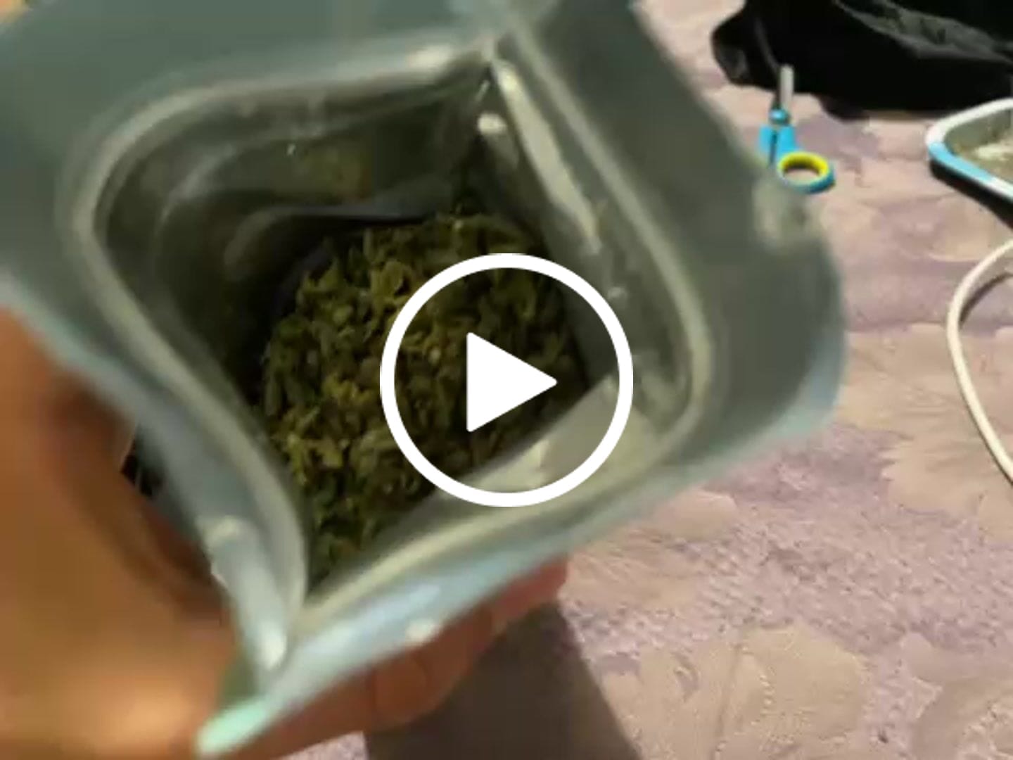 Customer video review of (Buy 1 Get 1 Free) No3 New. Blow Your Mind THCa Shake