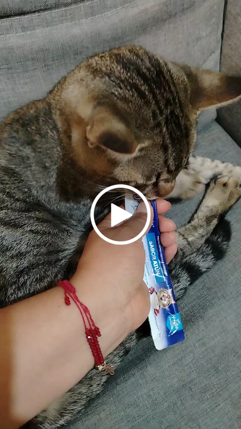 Customer video review of FL9202-FL9208 56g 4pz Yummy Creamy Atun Para Gato