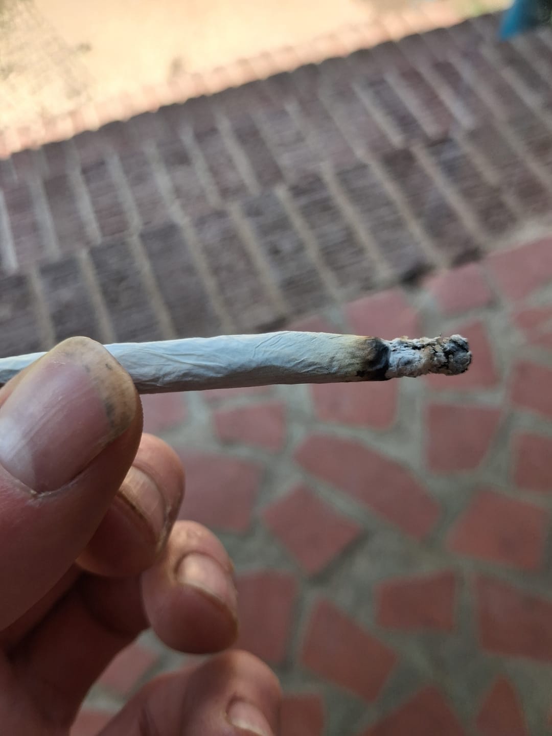 Customer photo review of True OG - Minis - 28 Grams - Indica