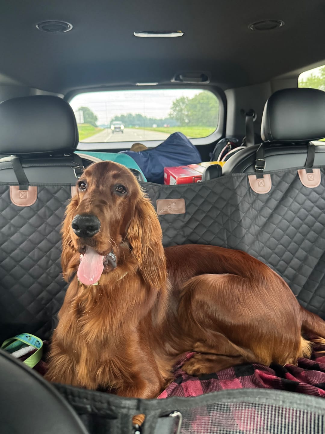 Customer photo review of CozyRider™ 3.0 XL