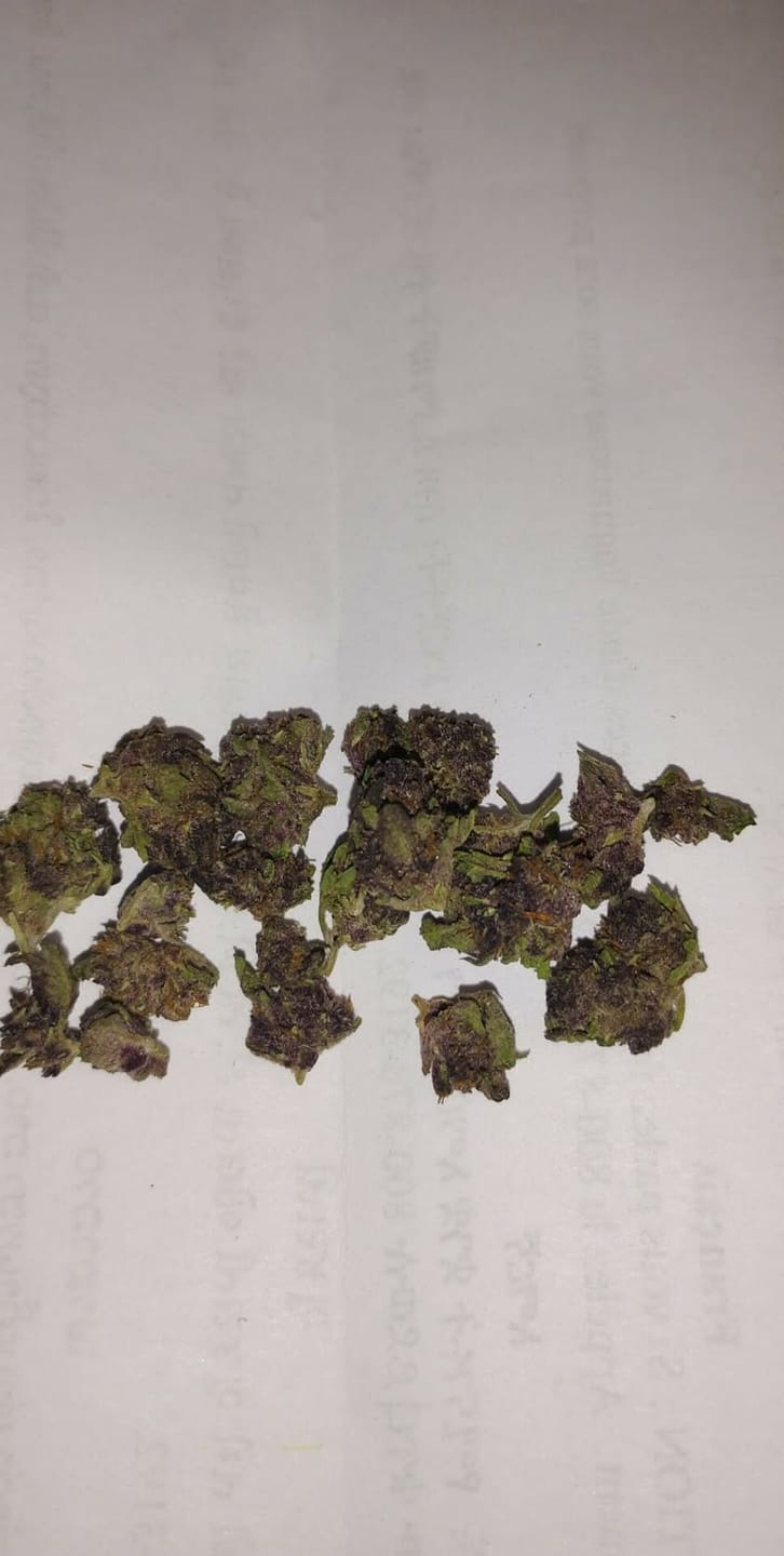 Customer photo review of ZKittles - Indoor