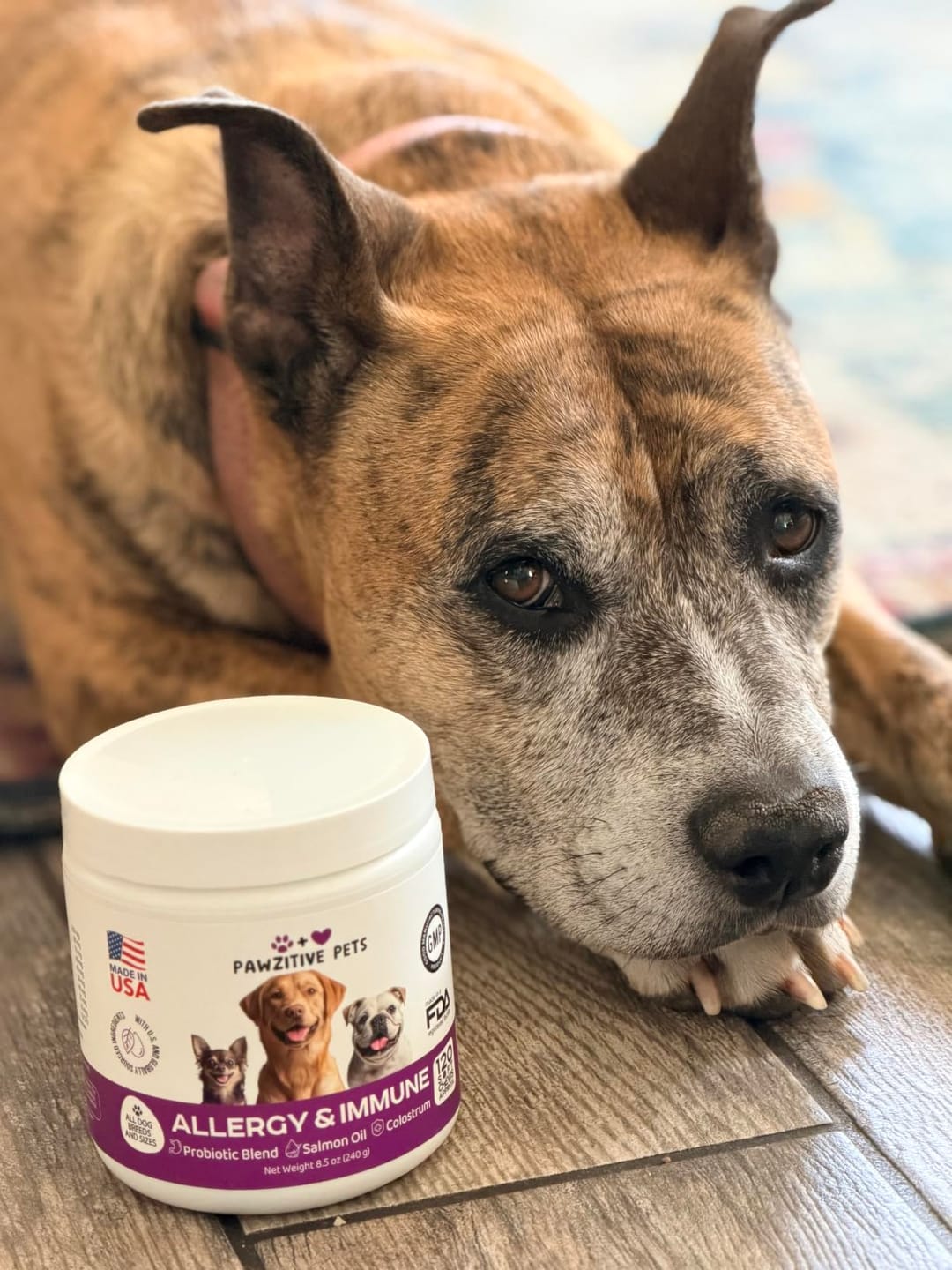 Customer photo review of Dog Allergy Chews for Itchy Skin, Paw Licking & Seasonal Allergies – Immune Support, 120 Soft Chews (Beef Flavor)