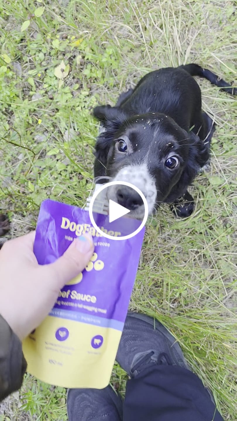 Customer video review of Hundsås Biff