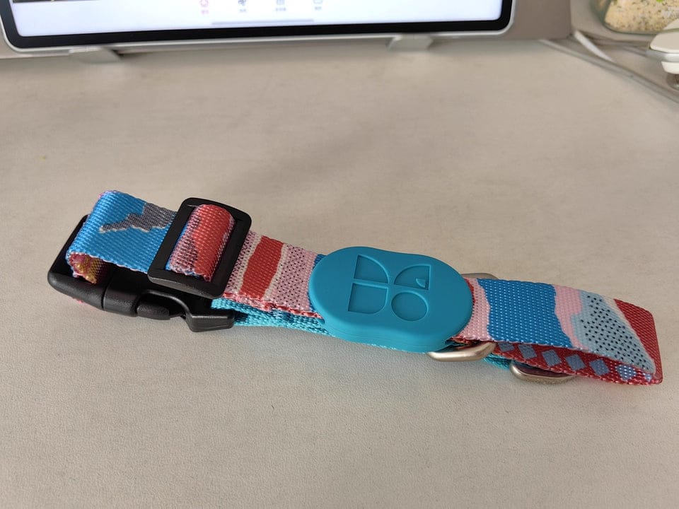 Customer photo review of Colorful PRO Semi-P Martingale Dog Collar with Position-Limit Choke Prevention for Training and Everyday Use