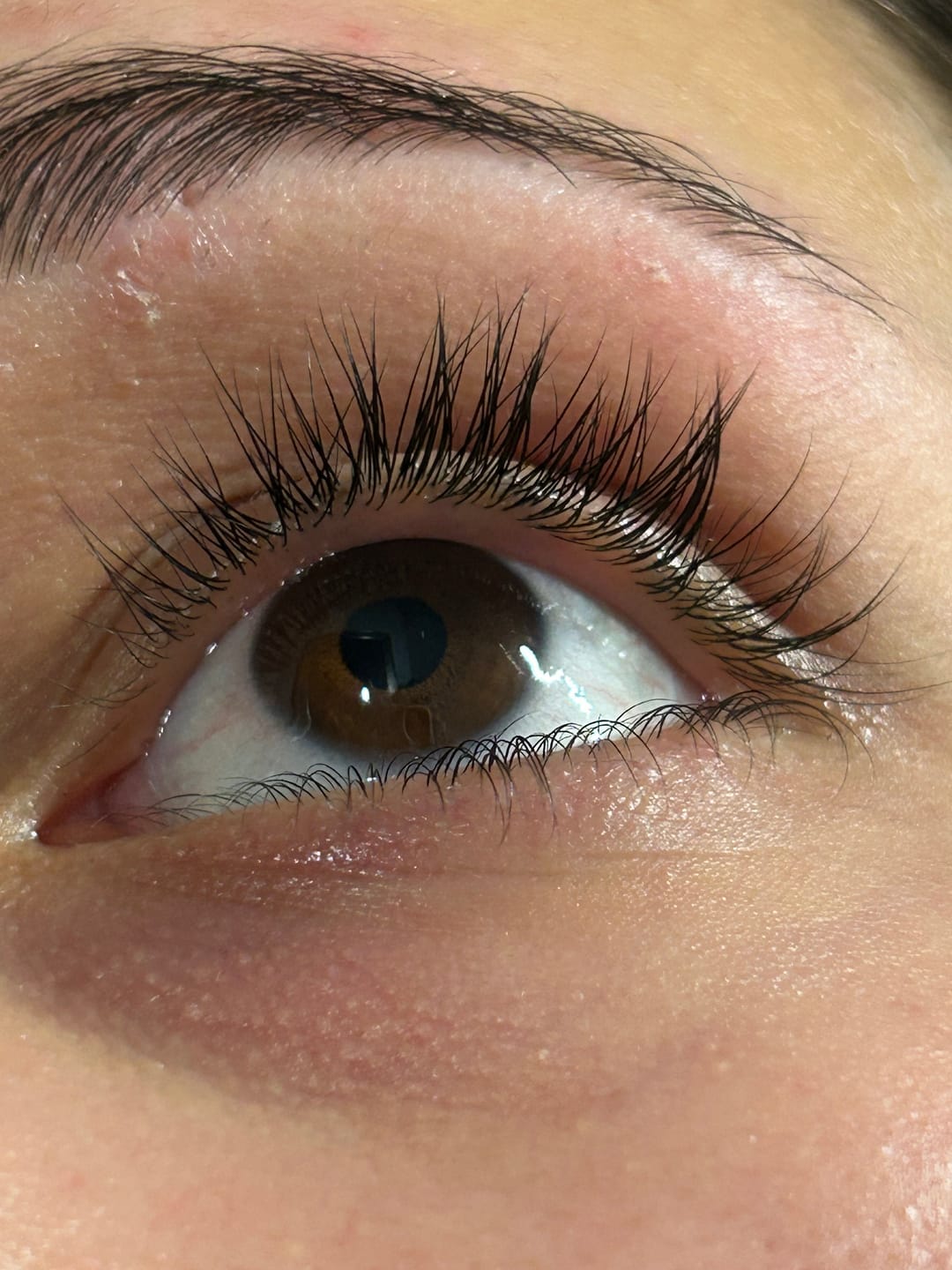 Customer photo review of WIMPERNSERUM