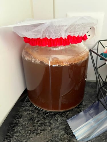 Customer's Kombucha Tee Pilz fermentiert in einem großen Glasgefäß mit einer weißen, rot abgesetzten Tuchabdeckung.