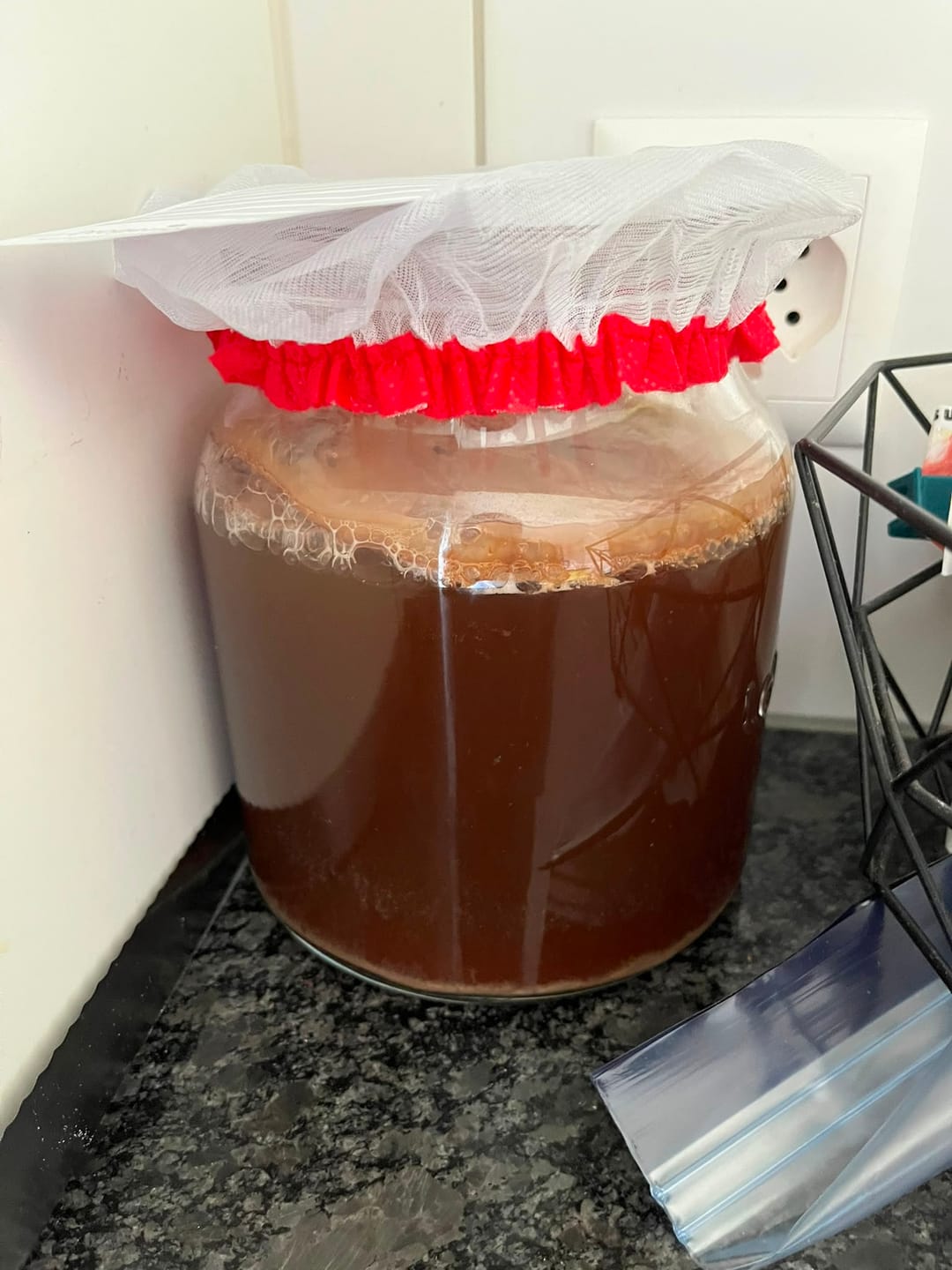 Customer photo review of Kombucha Tee Pilz (Startpilz) Bio