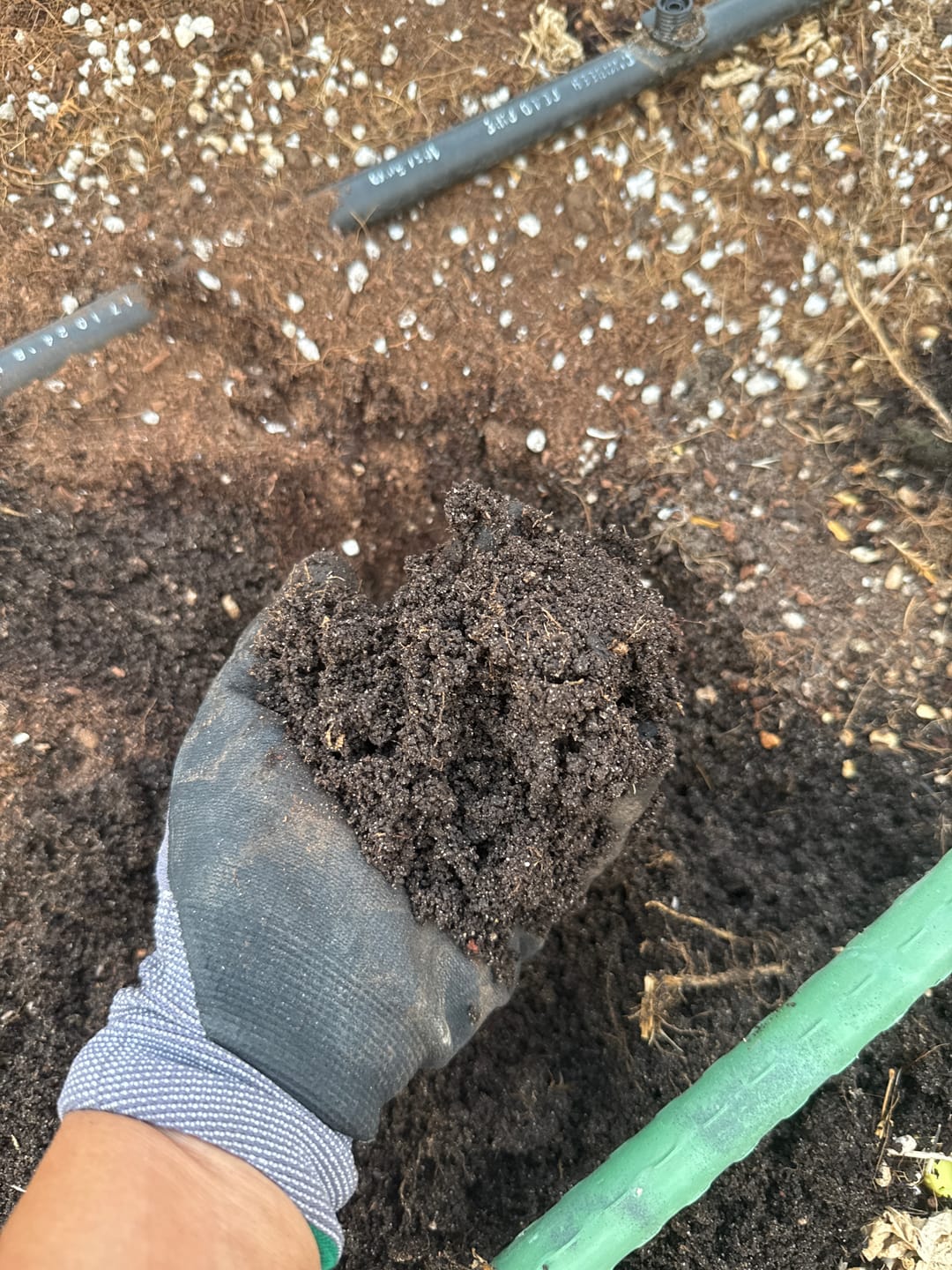Customer photo review of Potting Soil Mix