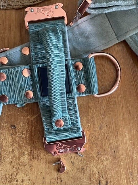 Customer photo review of Easy Walk Extreme Rose Pastel Green - Sele med snabbspänne