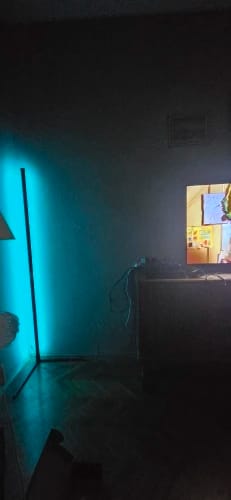 Customer photo review of Nordic Inspired Multicolor LED Floor Lamp With Remote Dimmer