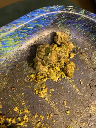 Cherry Abacus™ – Feminized CBD Seeds photo review