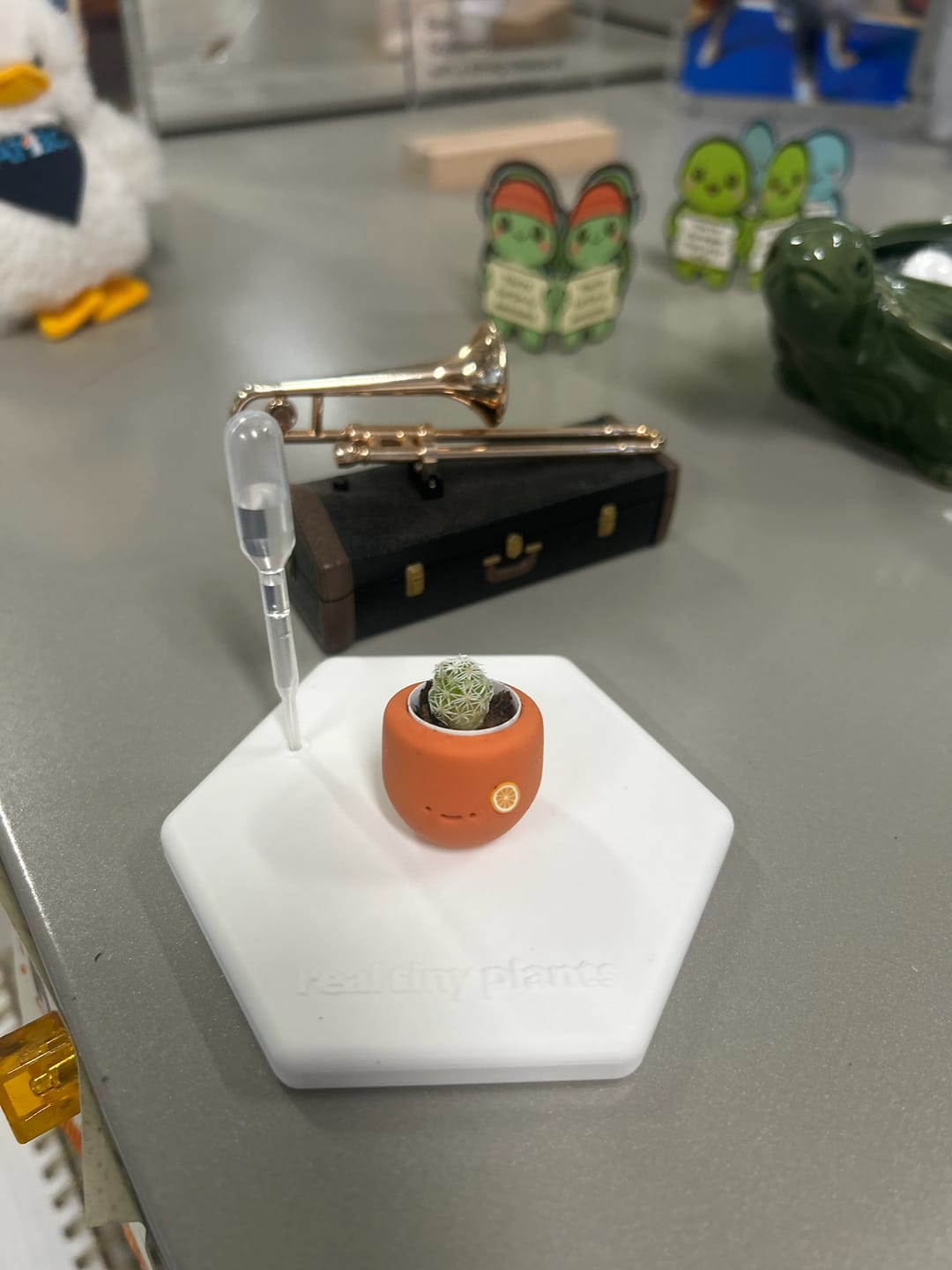 Customer photo review of Orange Dream