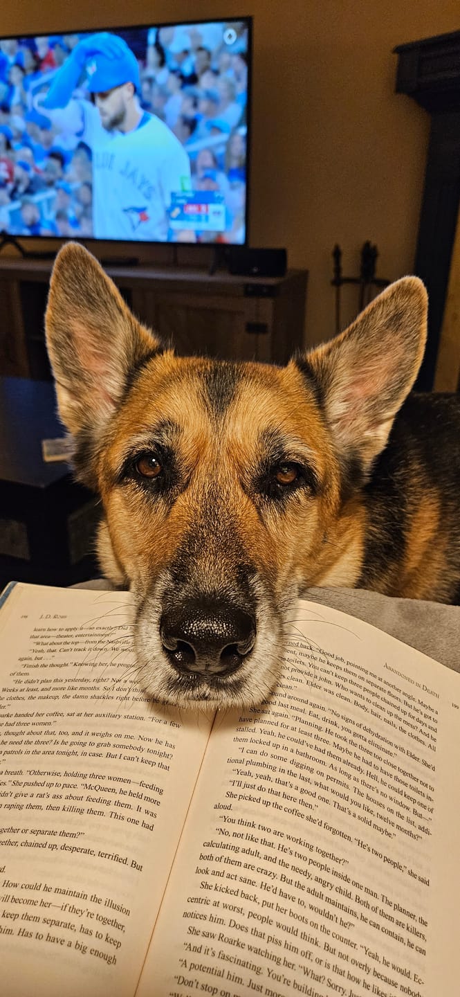 Customer photo review of 6 Inch Beef Jerky Stick
