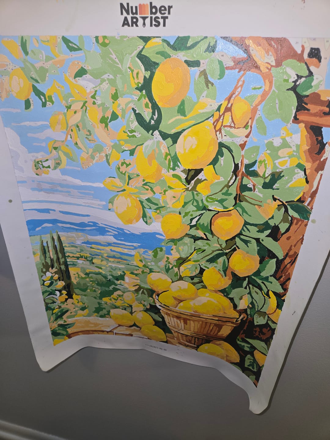 Customer photo review of Bounty Lemons