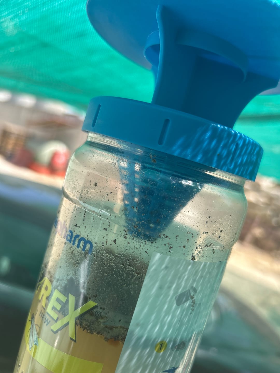 Customer photo review of FLYREX NEW FLY BOX - Trappola per Mosche e Mosconi