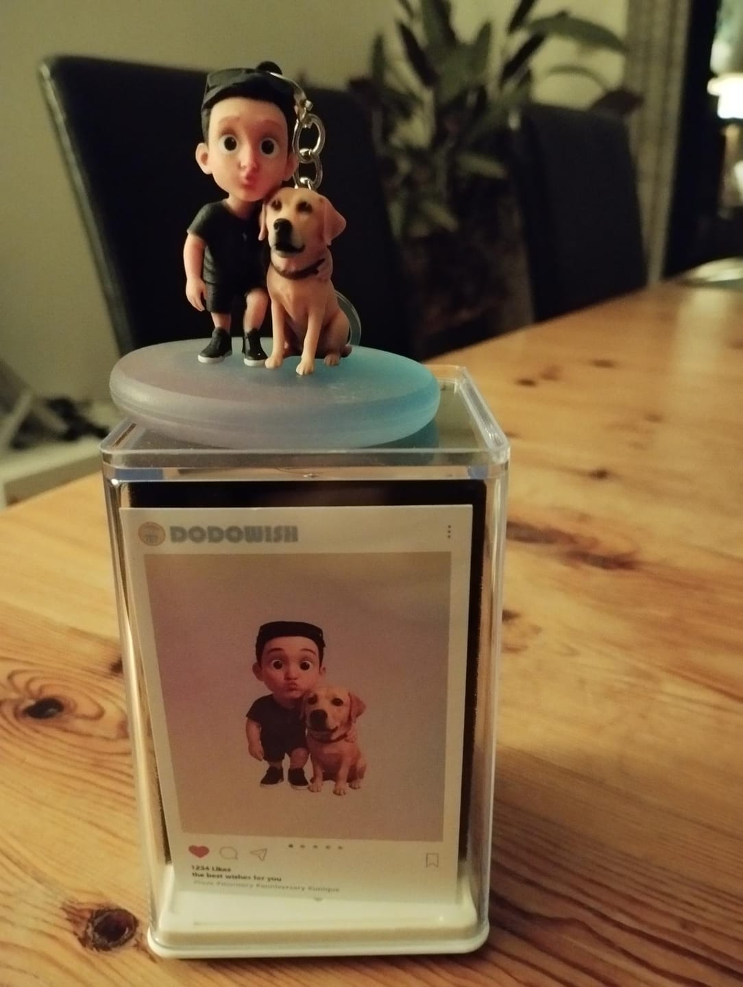 Customer photo review of Personalized Pet 3D Figure Keychain from Photo