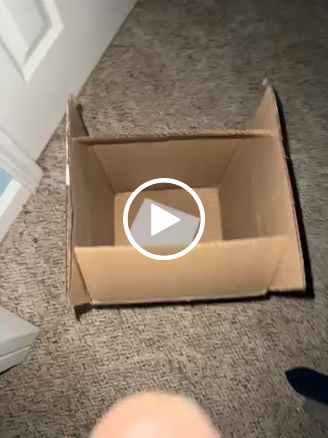 Customer video review of Shipping Protection